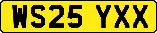 WS25YXX