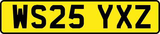 WS25YXZ
