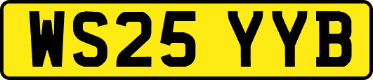 WS25YYB