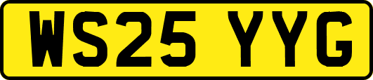 WS25YYG
