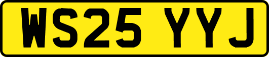WS25YYJ