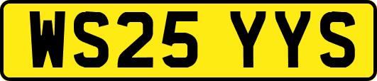 WS25YYS