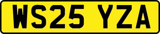 WS25YZA
