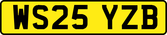 WS25YZB