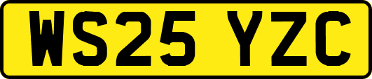 WS25YZC