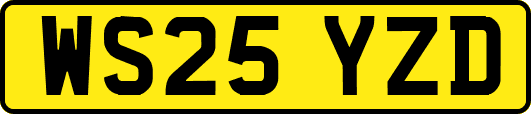 WS25YZD