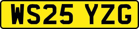 WS25YZG