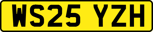 WS25YZH