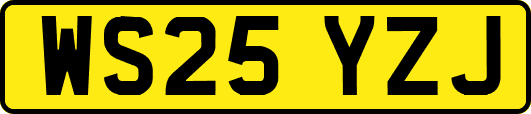 WS25YZJ