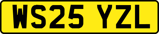 WS25YZL