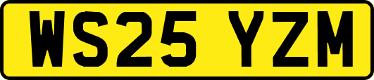 WS25YZM