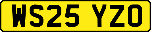 WS25YZO