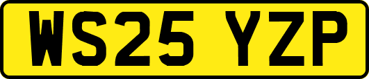 WS25YZP