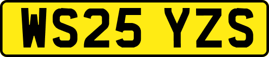 WS25YZS