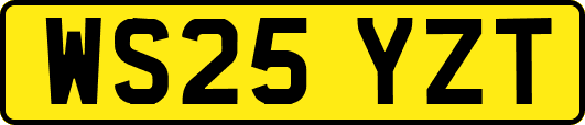 WS25YZT