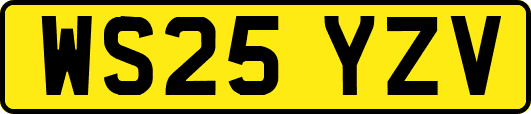 WS25YZV