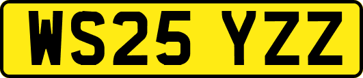 WS25YZZ