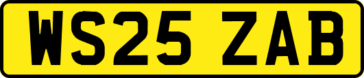 WS25ZAB