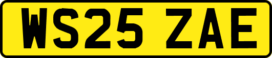 WS25ZAE