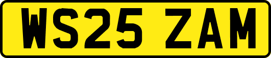 WS25ZAM
