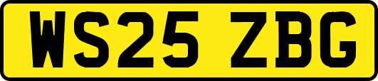 WS25ZBG