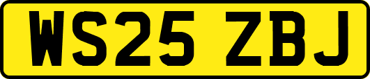 WS25ZBJ