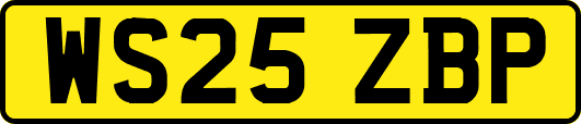 WS25ZBP