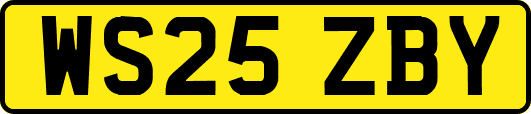 WS25ZBY