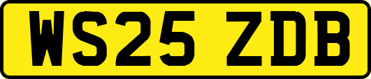 WS25ZDB