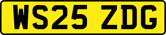 WS25ZDG