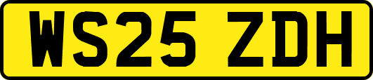 WS25ZDH