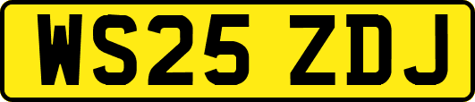 WS25ZDJ