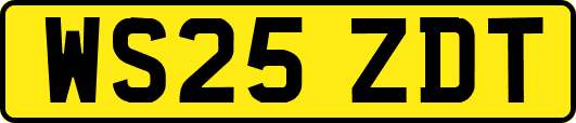 WS25ZDT