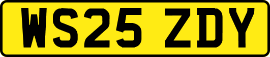 WS25ZDY