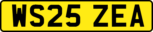 WS25ZEA