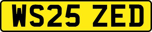 WS25ZED