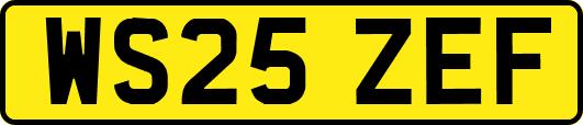 WS25ZEF