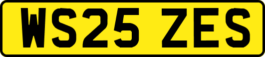 WS25ZES