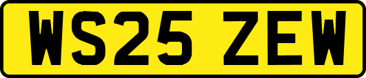 WS25ZEW