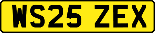 WS25ZEX