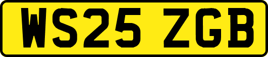 WS25ZGB