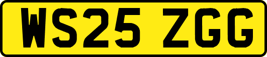 WS25ZGG