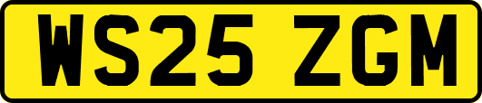 WS25ZGM