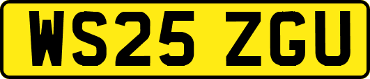 WS25ZGU