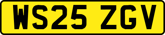 WS25ZGV