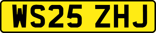 WS25ZHJ
