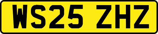 WS25ZHZ