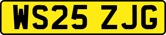 WS25ZJG
