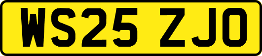 WS25ZJO
