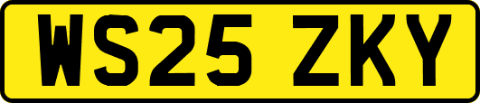 WS25ZKY